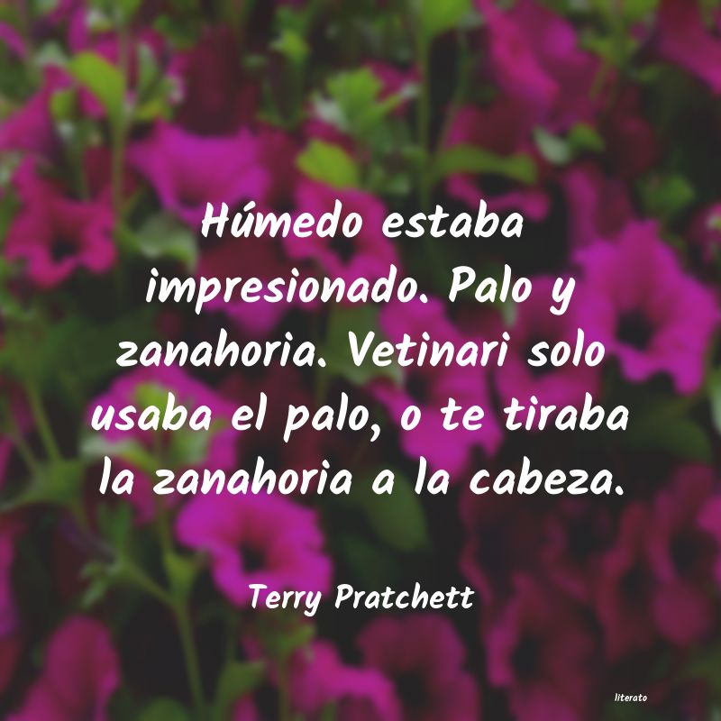 frases de Terry Pratchett