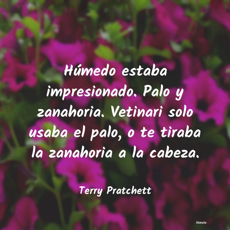 Frases de Terry Pratchett