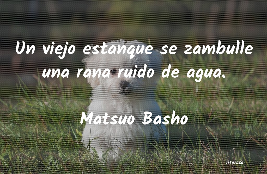 Frases de Matsuo Basho