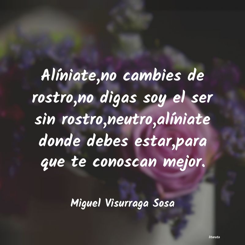 Frases de Miguel Visurraga Sosa