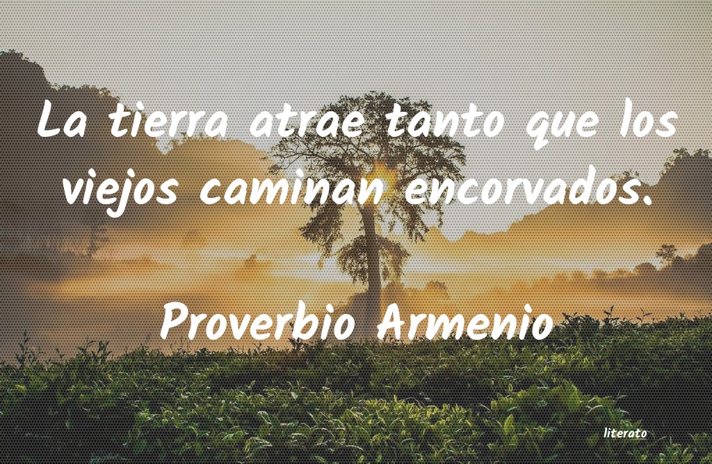 frases de Proverbio Armenio