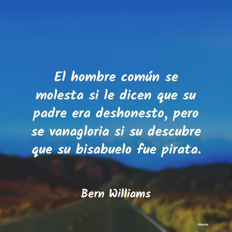 Frases de Bern Williams