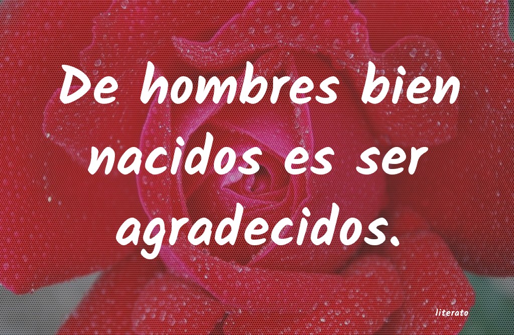 frases