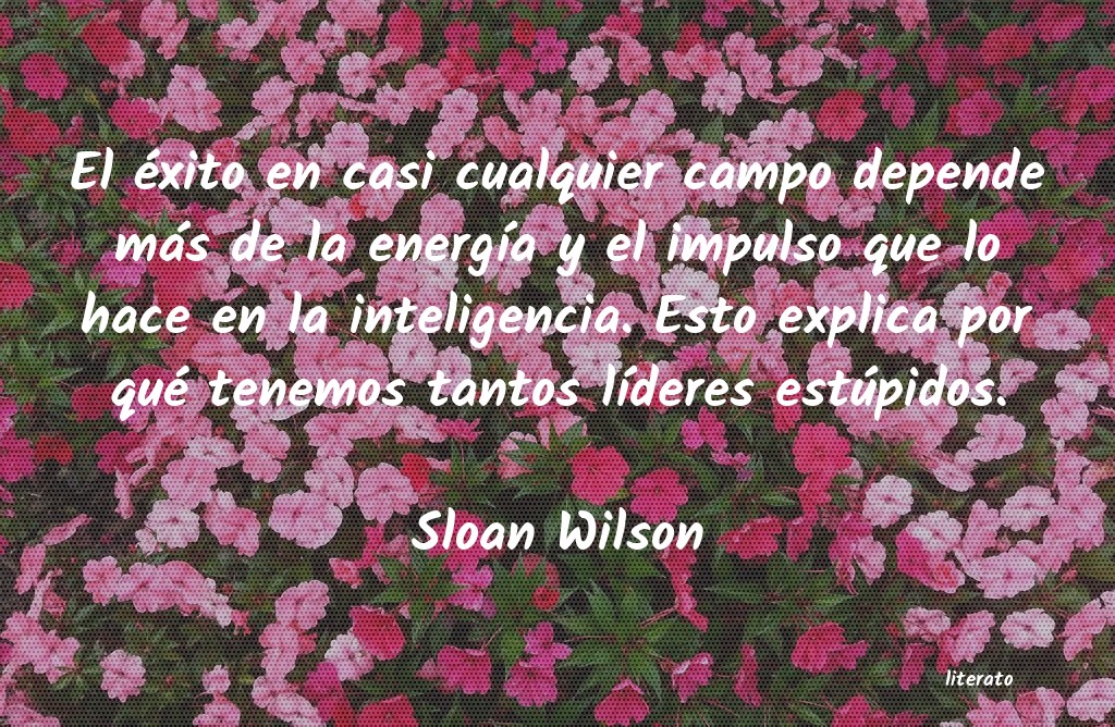 frases de Sloan Wilson