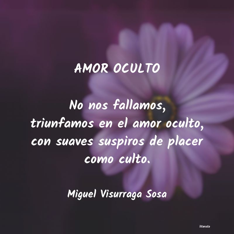 Frases de Miguel Visurraga Sosa