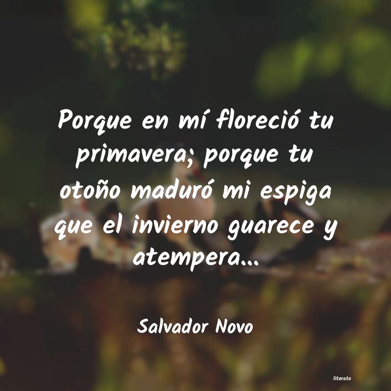Frases de Salvador Novo