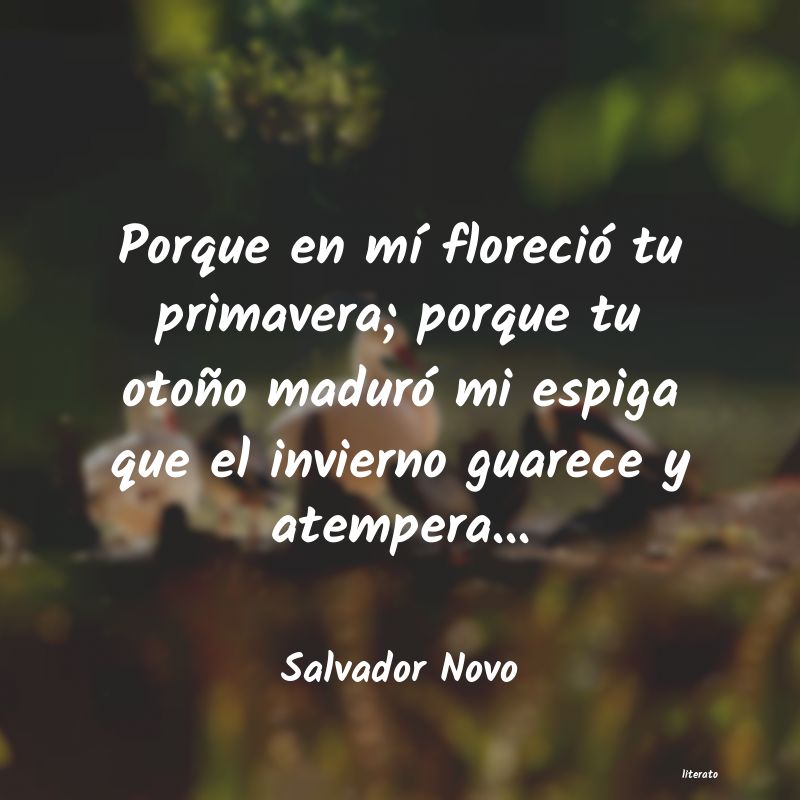 frases de Salvador Novo