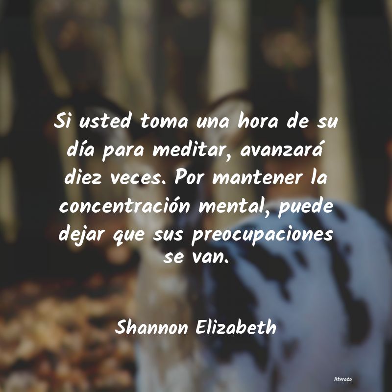 Frases de Shannon Elizabeth