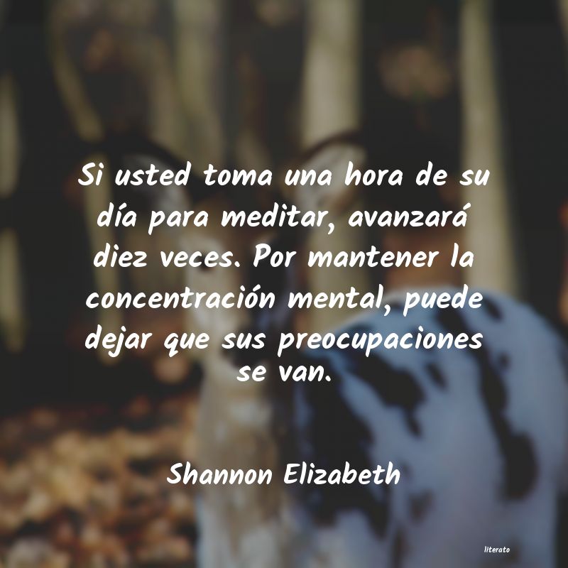 frases de Shannon Elizabeth