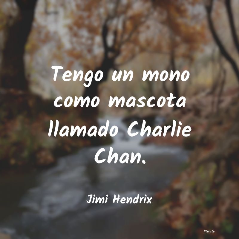 Frases de Jimi Hendrix