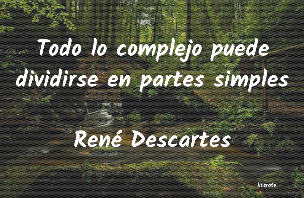 frases de René Descartes