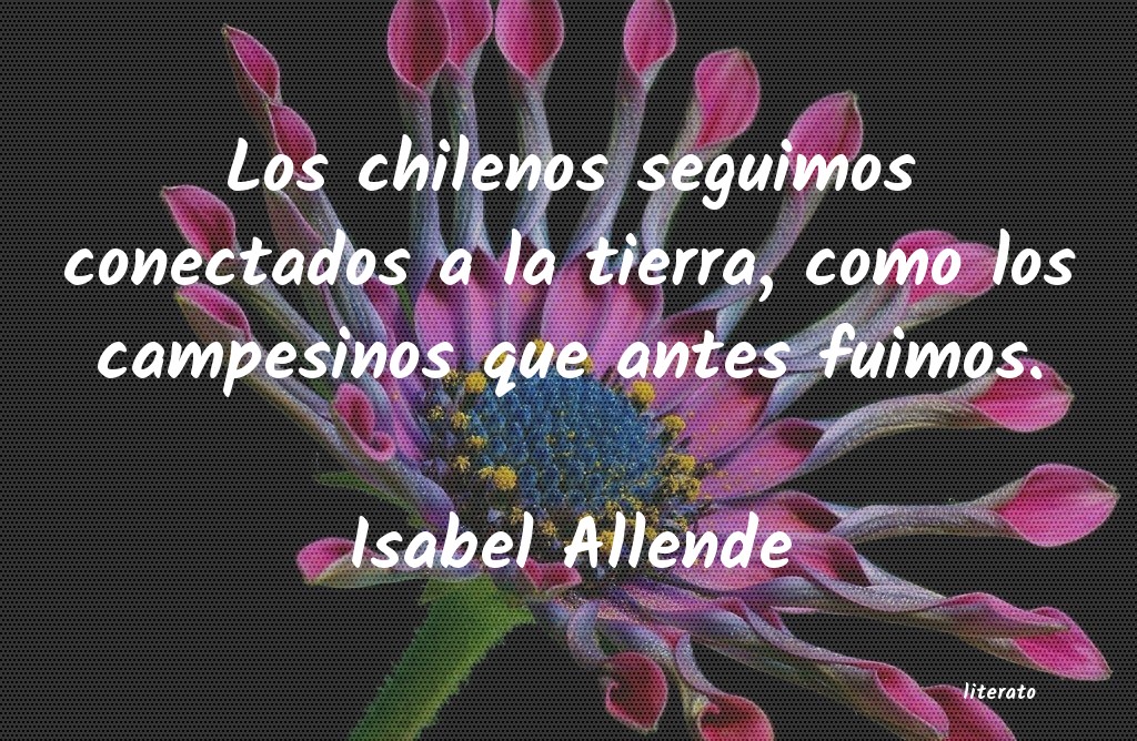 Frases de Isabel Allende