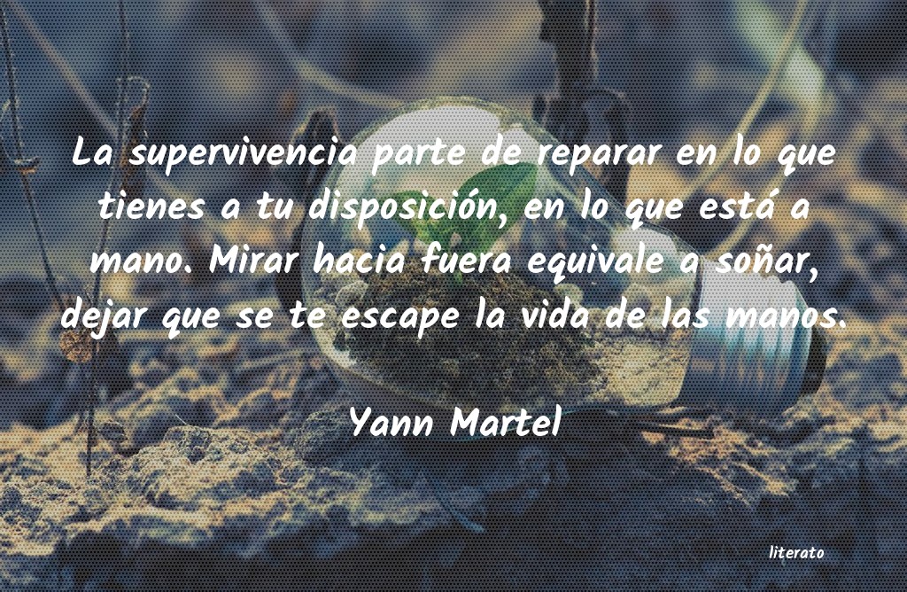 frases de Yann Martel