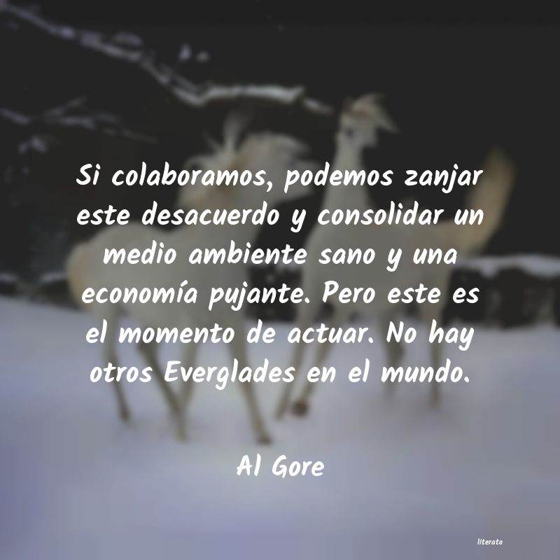 Frases de Al Gore