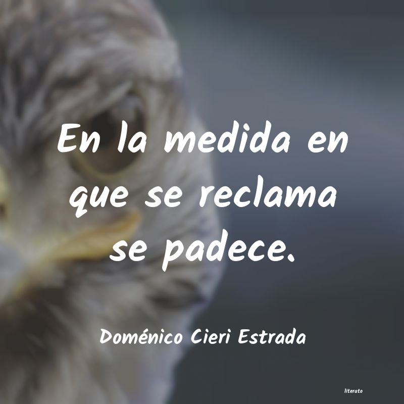 Frases de Doménico Cieri Estrada