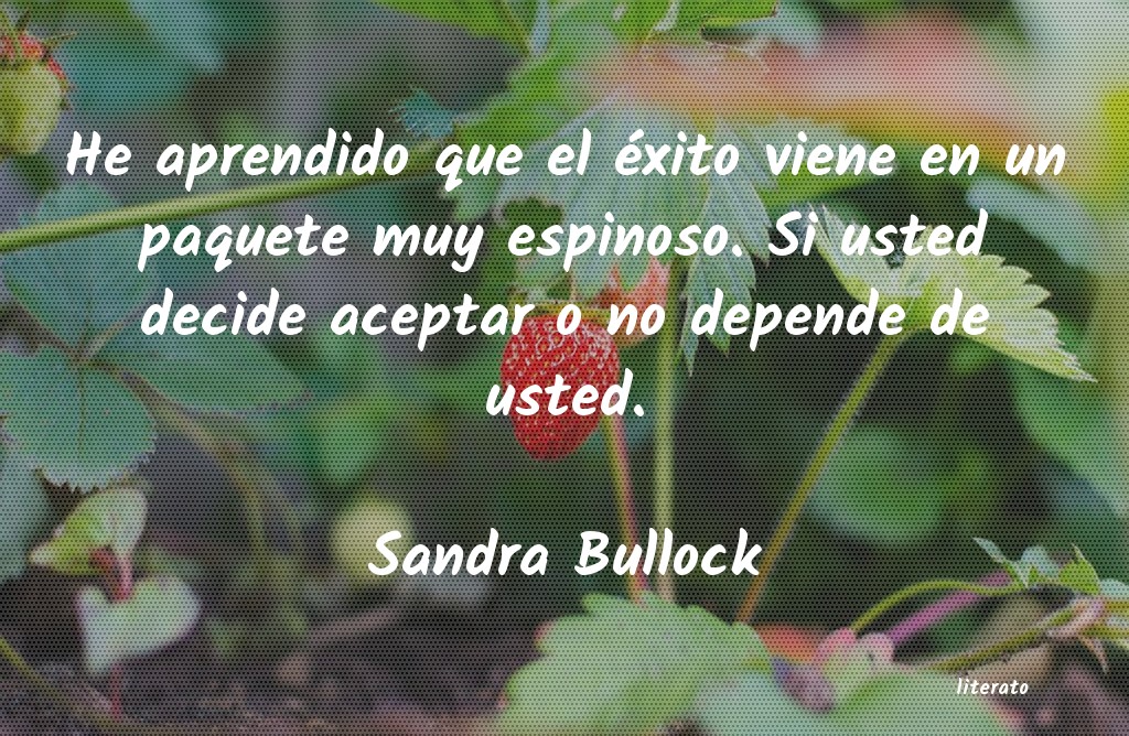 Frases de Sandra Bullock