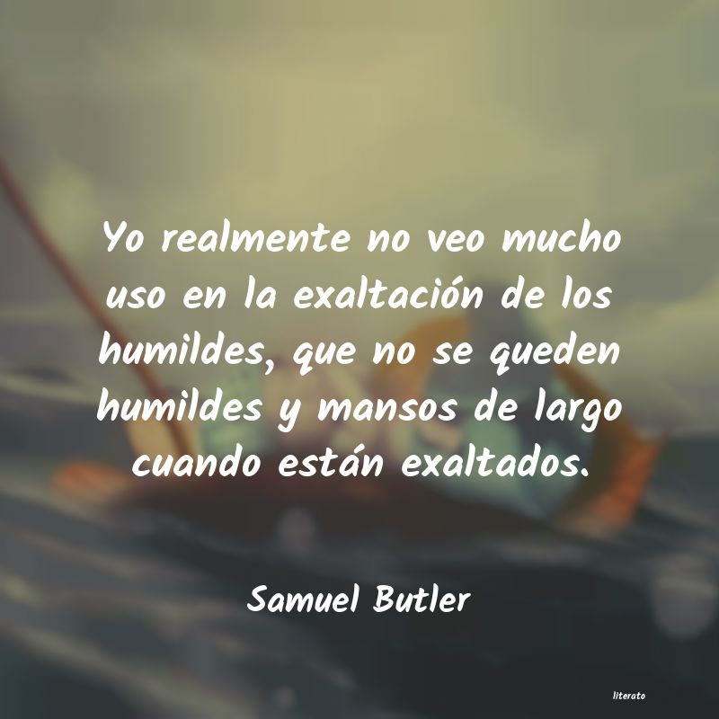 Frases de Samuel Butler