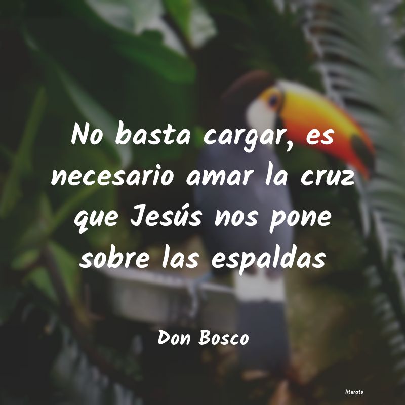 Frases de Don Bosco