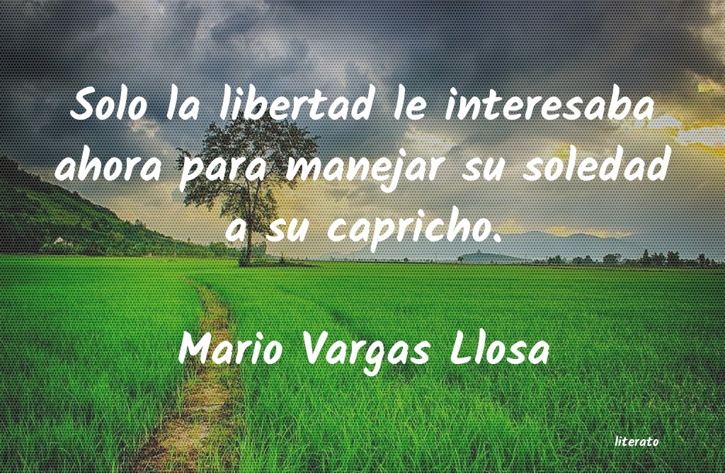 Frases de Mario Vargas Llosa