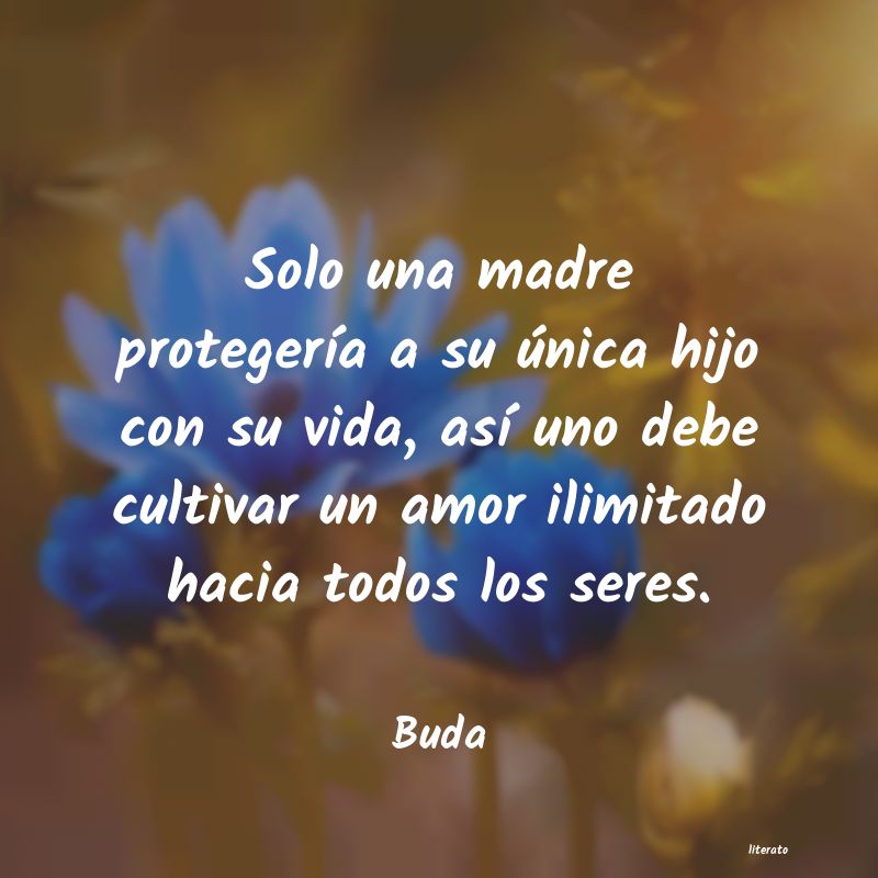 Frases de Buda