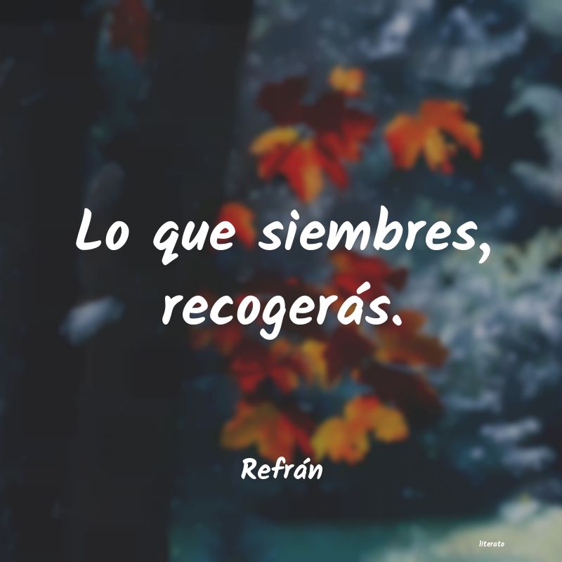 frases de Refrán