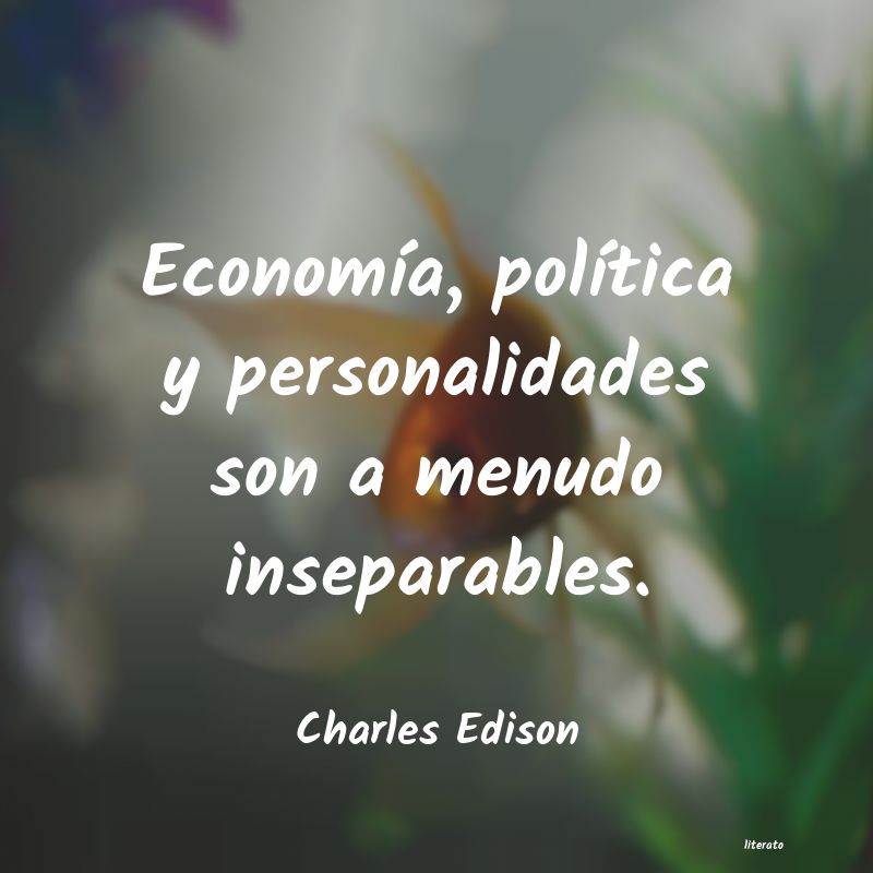 Frases de Charles Edison