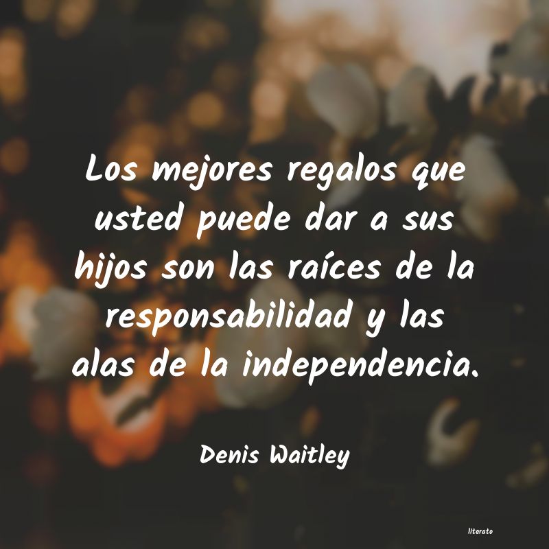 Frases de Denis Waitley