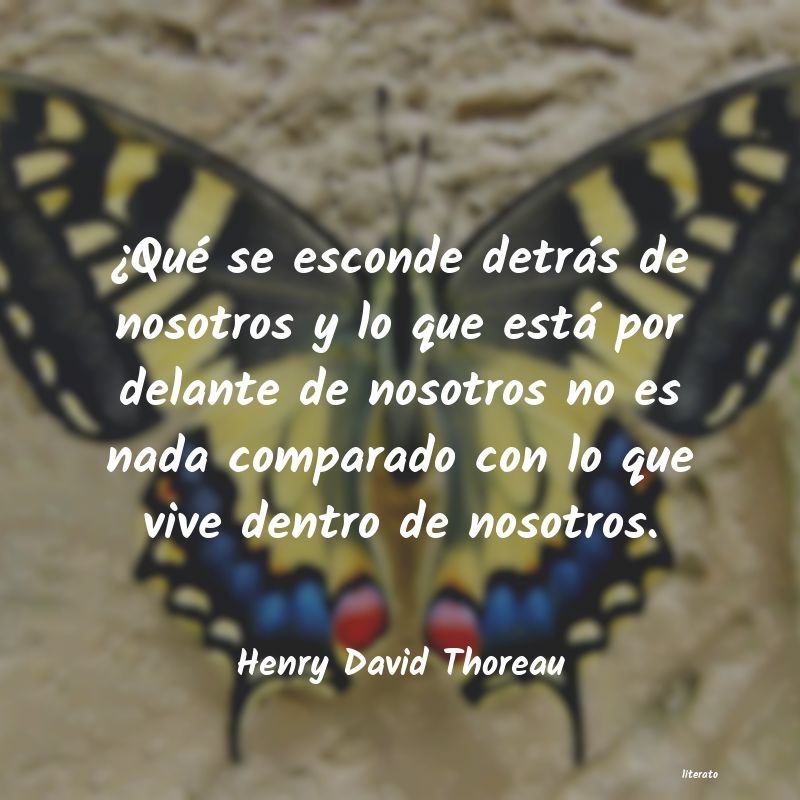 frases de Henry David Thoreau