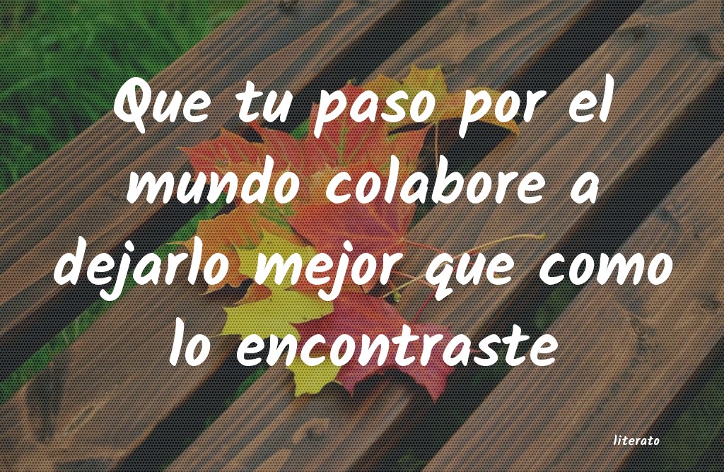 frases