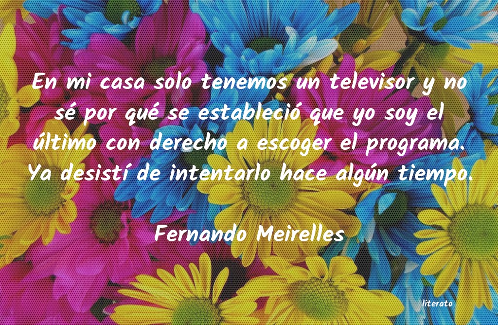 Frases de Fernando Meirelles