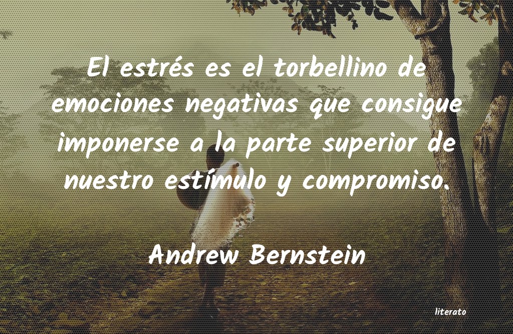 Frases de Andrew Bernstein