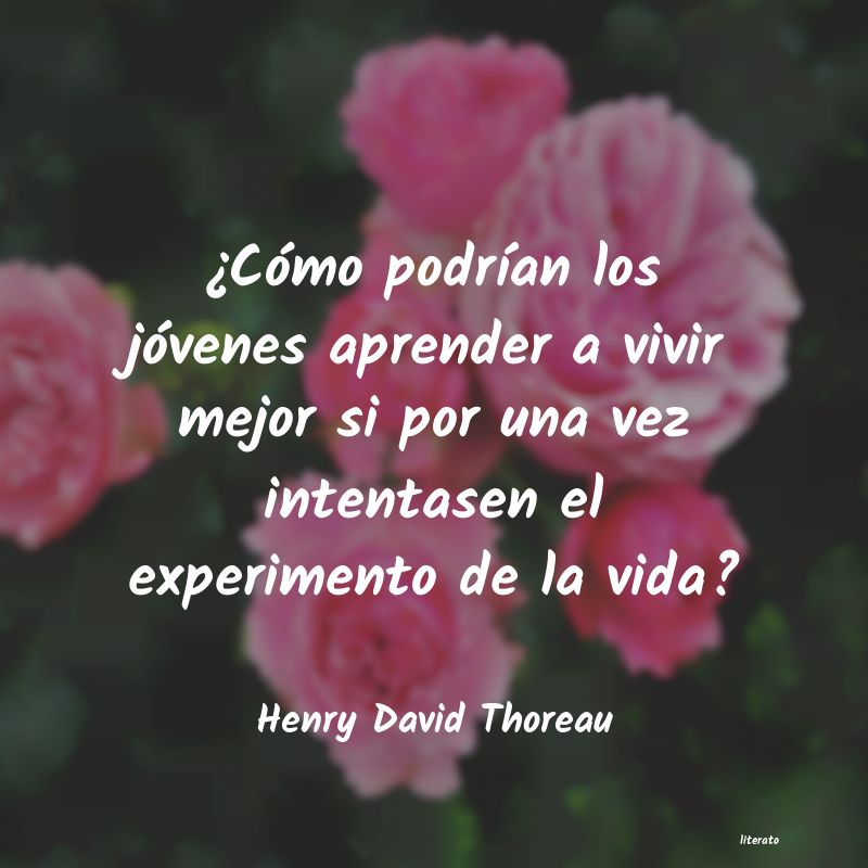 Frases de Henry David Thoreau