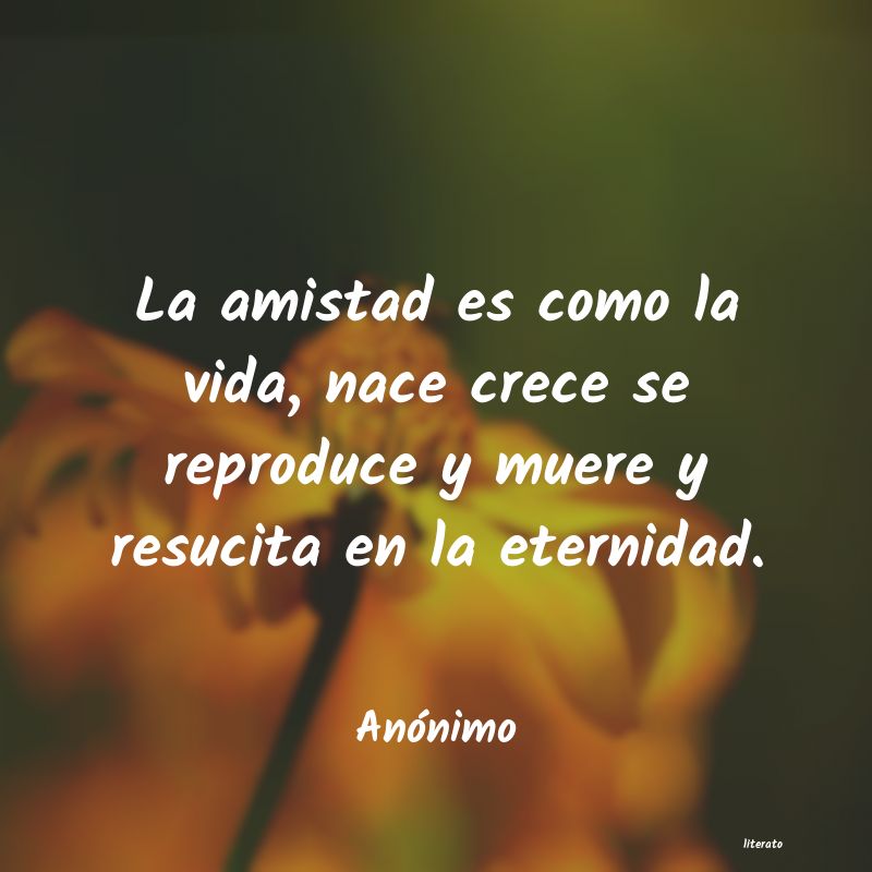 frases