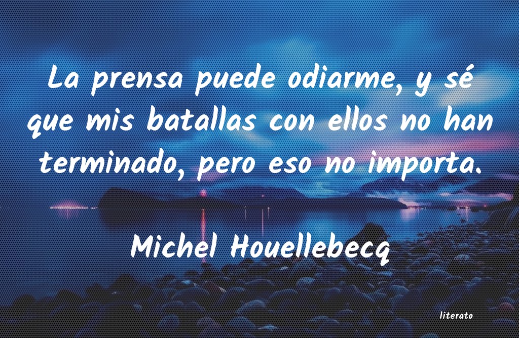 frases de Michel Houellebecq