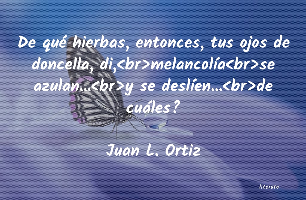 Frases de Juan L. Ortiz