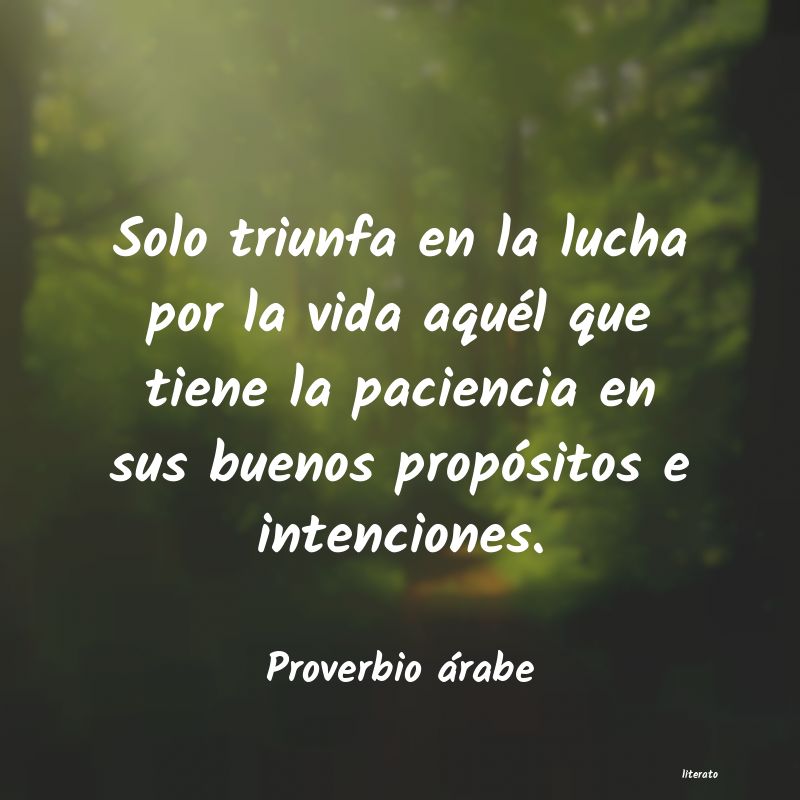 Frases de Proverbio árabe