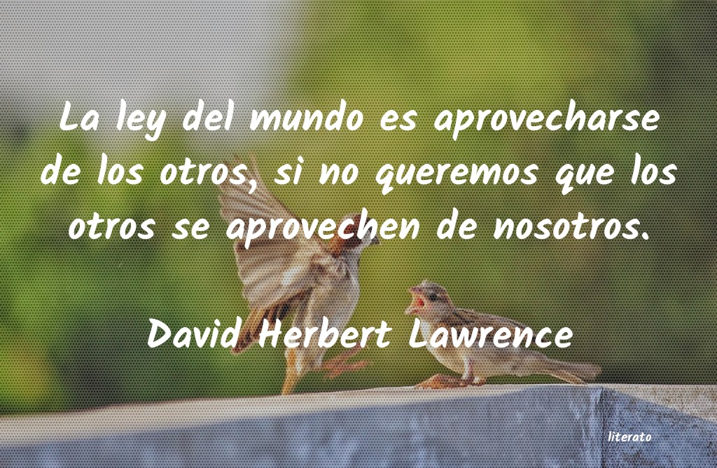 Frases de David Herbert Lawrence