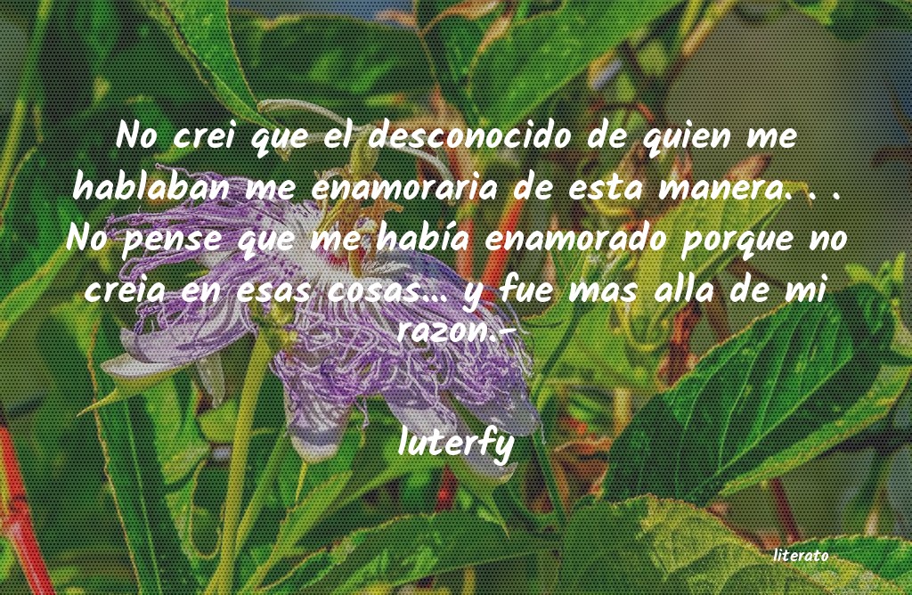 Frases de luterfy