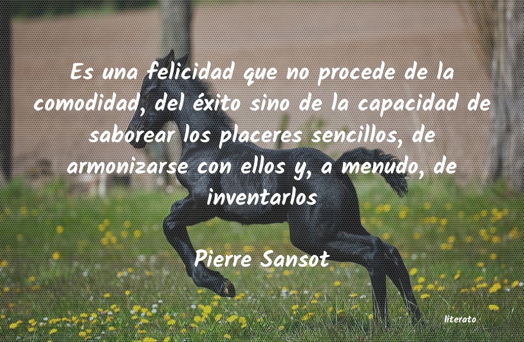 frases de Pierre Sansot