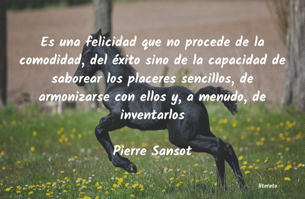 Frases de Pierre Sansot