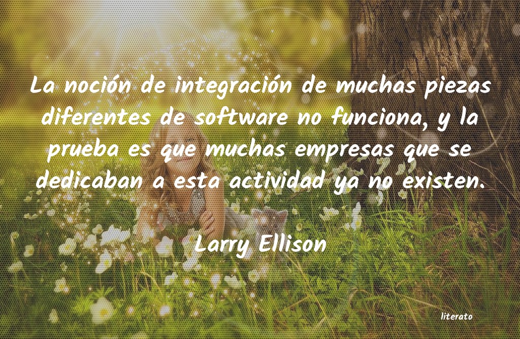 Frases de Larry Ellison