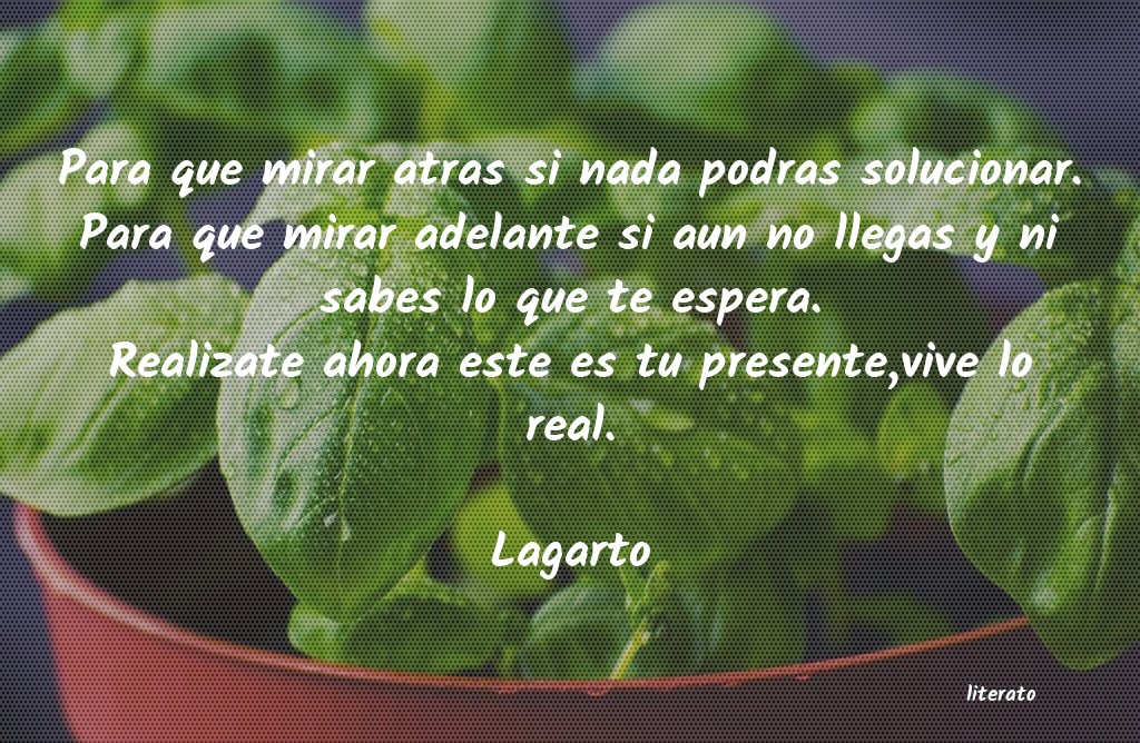 frases fresas para pelear