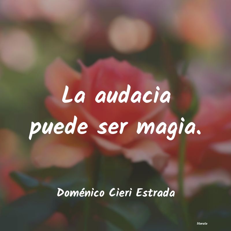 Frases de Doménico Cieri Estrada