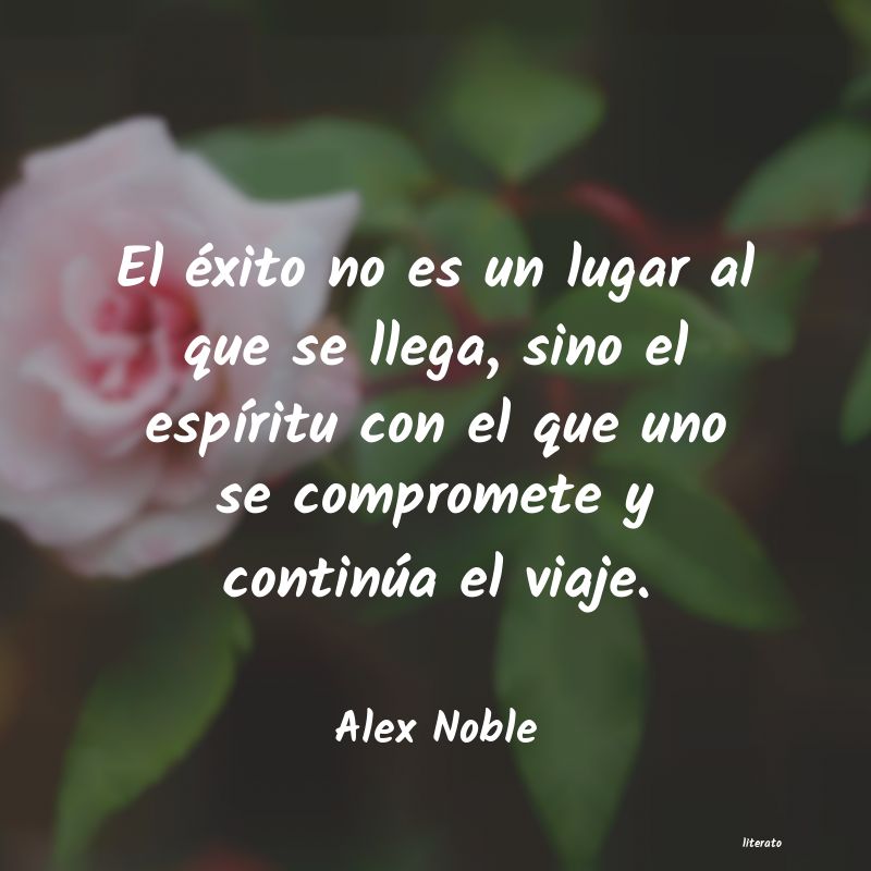 Frases de Alex Noble