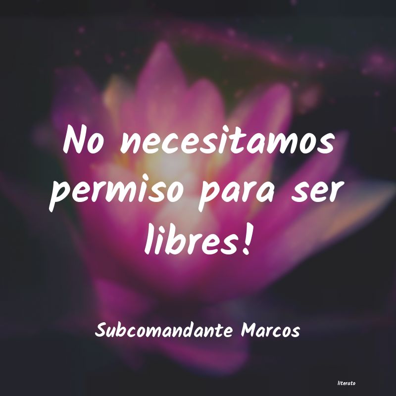 frases de Subcomandante Marcos