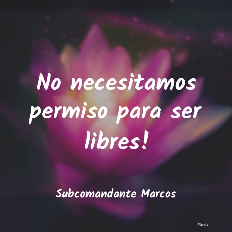 Frases de Subcomandante Marcos