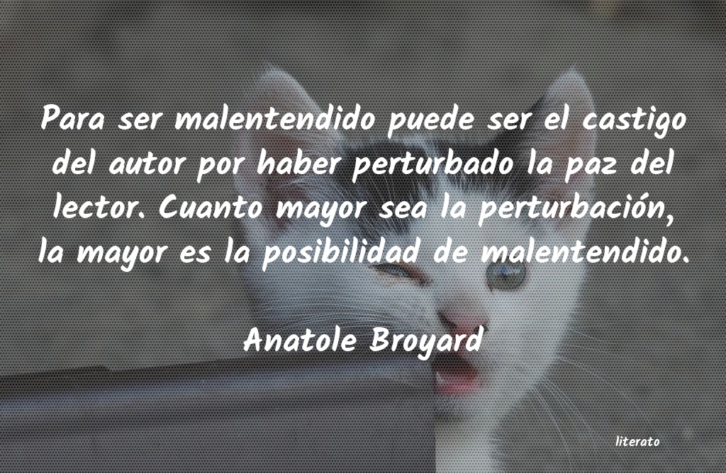 frases de Anatole Broyard