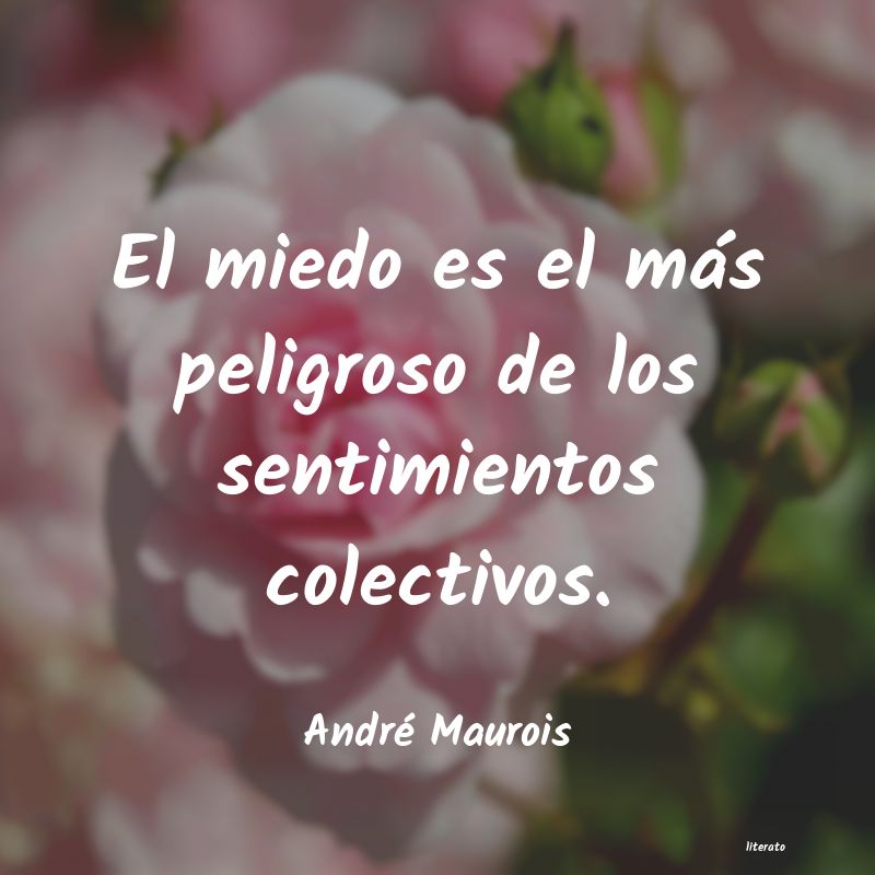 Frases de André Maurois