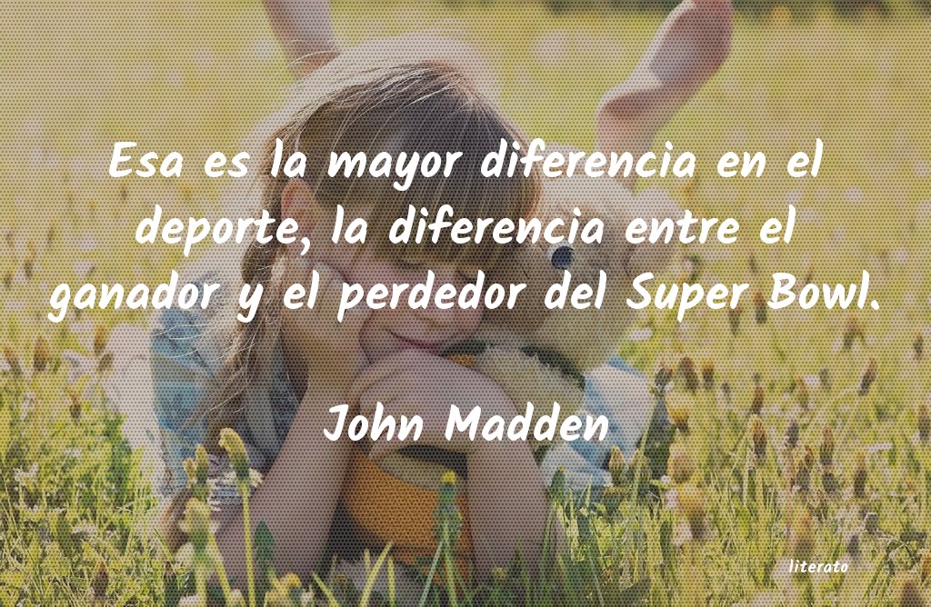 Frases de John Madden