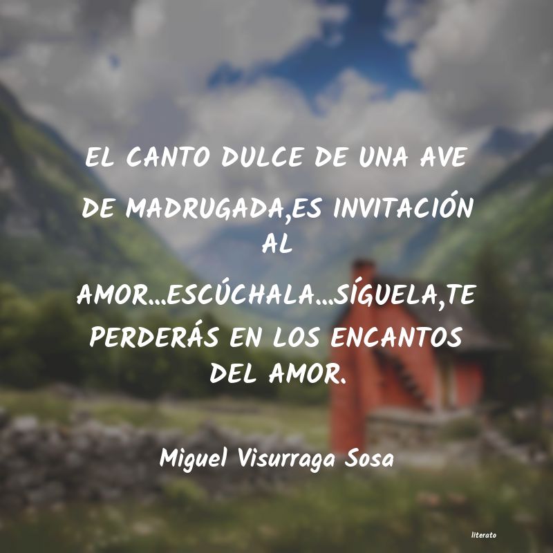 Frases de Miguel Visurraga Sosa